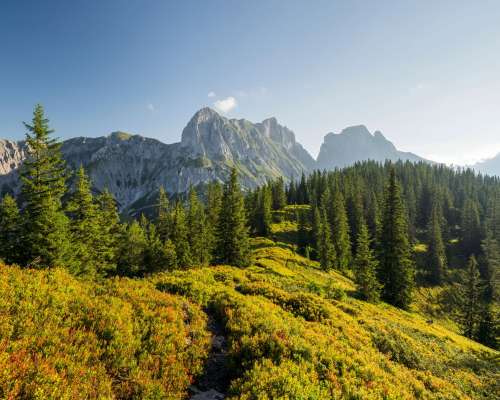 AdobeStock_C Rainer Mira