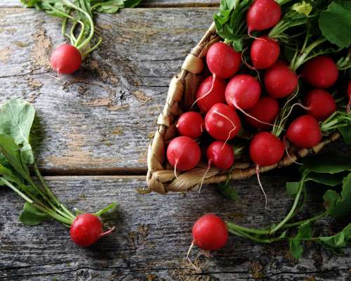 AdobeStock_C Juergen Wiesler