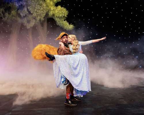 Cinderella_Michael_Boehmlaender